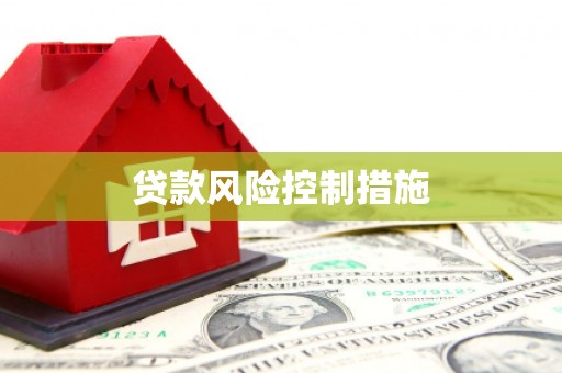 新昌贷款风险控制措施