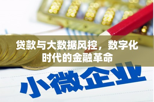 新昌贷款与大数据风控，数字化时代的金融革命