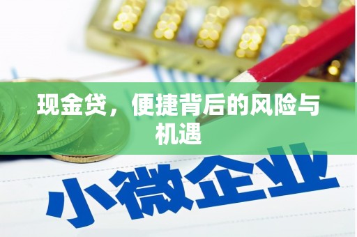 新昌现金贷，便捷背后的风险与机遇