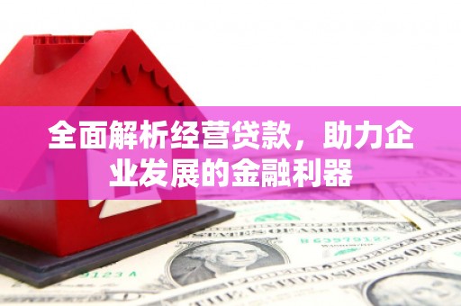 新昌全面解析经营贷款，助力企业发展的金融利器