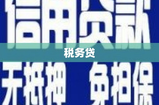 新昌税务贷