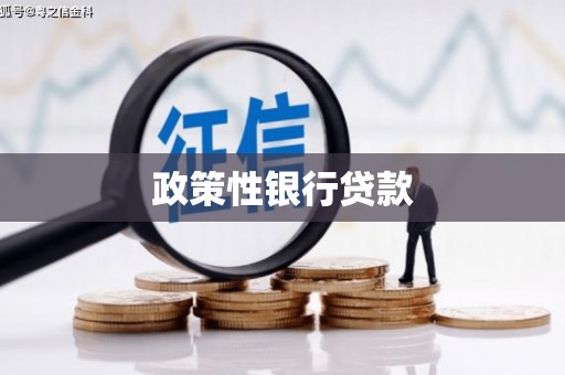 新昌政策性银行贷款