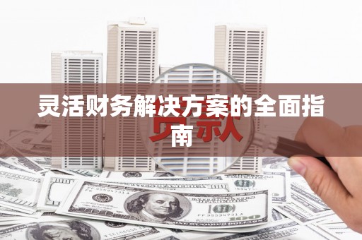新昌灵活财务解决方案的全面指南