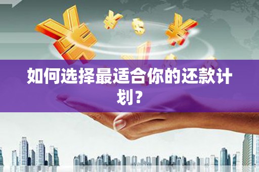 新昌如何选择最适合你的还款计划？