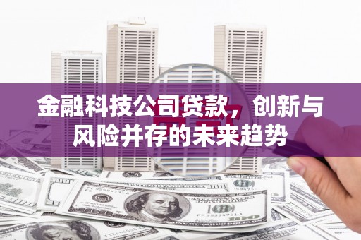 新昌金融科技公司贷款，创新与风险并存的未来趋势