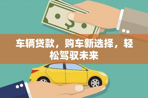 新昌车辆贷款，购车新选择，轻松驾驭未来