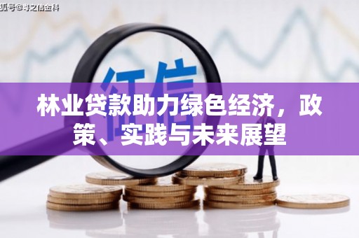 新昌林业贷款助力绿色经济，政策、实践与未来展望