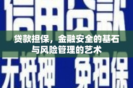 新昌贷款担保，金融安全的基石与风险管理的艺术