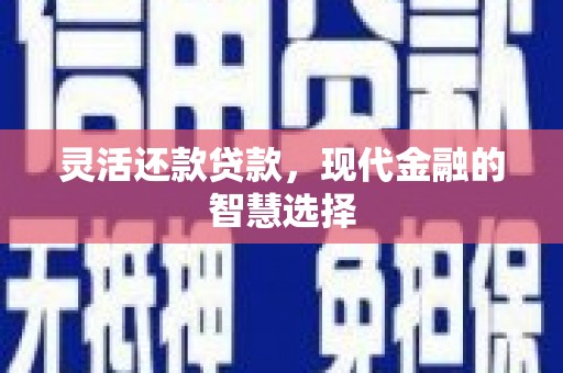 新昌灵活还款贷款，现代金融的智慧选择