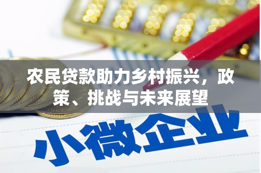 新昌农民贷款助力乡村振兴，政策、挑战与未来展望