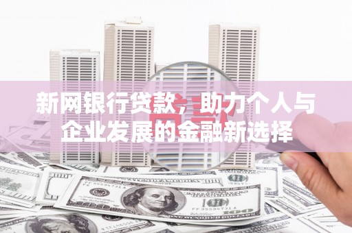 新昌新网银行贷款，助力个人与企业发展的金融新选择