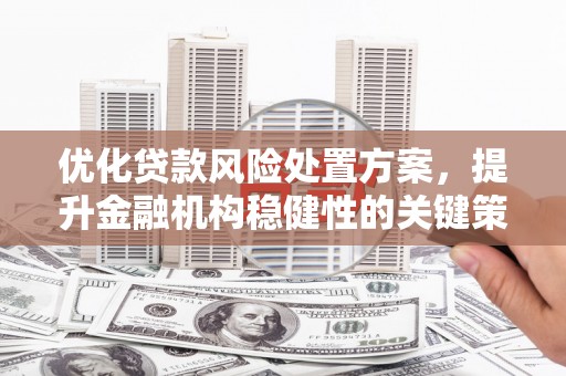 新昌优化贷款风险处置方案，提升金融机构稳健性的关键策略
