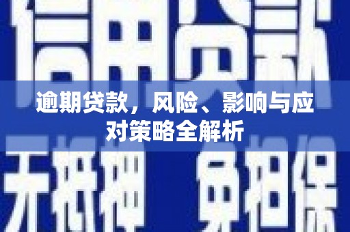 新昌逾期贷款，风险、影响与应对策略全解析