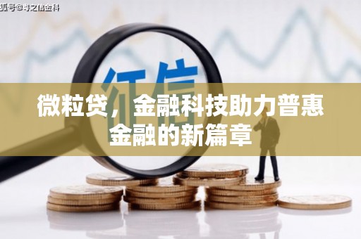 新昌微粒贷，金融科技助力普惠金融的新篇章
