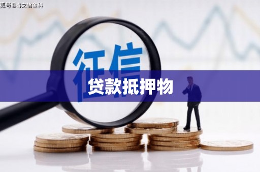 新昌贷款抵押物