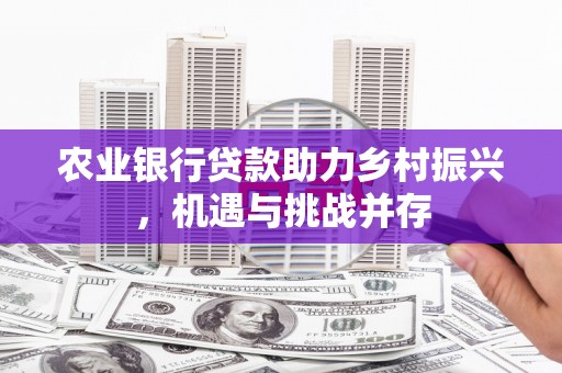 新昌农业银行贷款助力乡村振兴，机遇与挑战并存