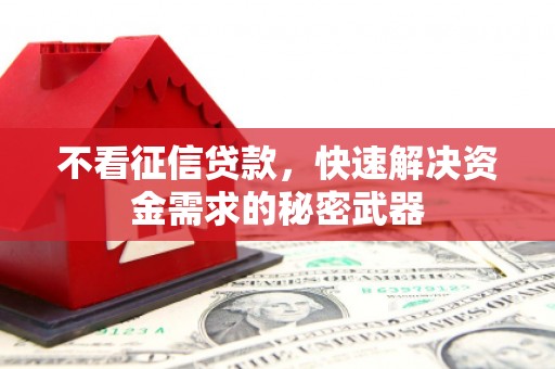 新昌不看征信贷款，快速解决资金需求的秘密武器