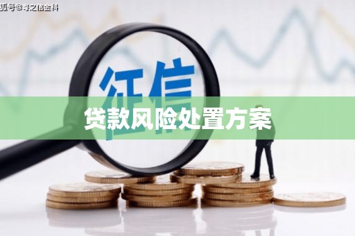 新昌贷款风险处置方案