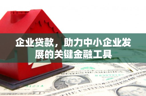 新昌企业贷款，助力中小企业发展的关键金融工具