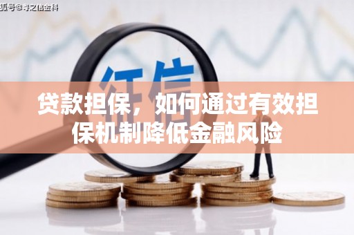 新昌贷款担保，如何通过有效担保机制降低金融风险