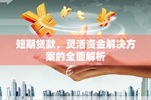 新昌短期贷款，灵活资金解决方案的全面解析