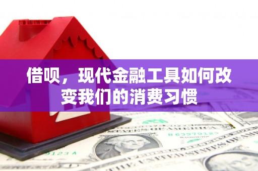 新昌借呗，现代金融工具如何改变我们的消费习惯