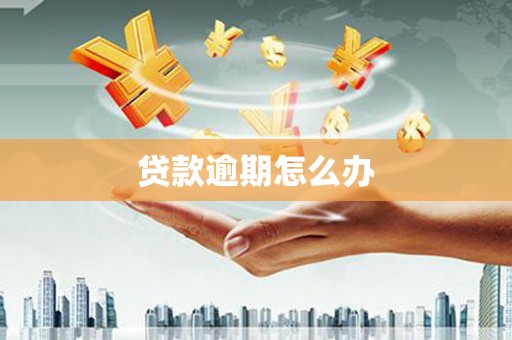 新昌贷款逾期怎么办