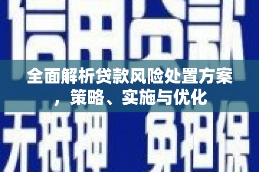 新昌全面解析贷款风险处置方案，策略、实施与优化