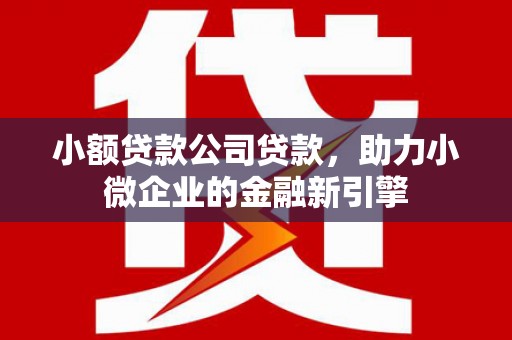 新昌小额贷款公司贷款，助力小微企业的金融新引擎