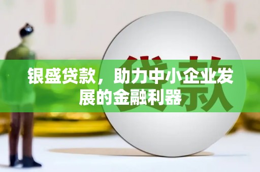 新昌银盛贷款，助力中小企业发展的金融利器