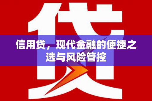 新昌信用贷，现代金融的便捷之选与风险管控