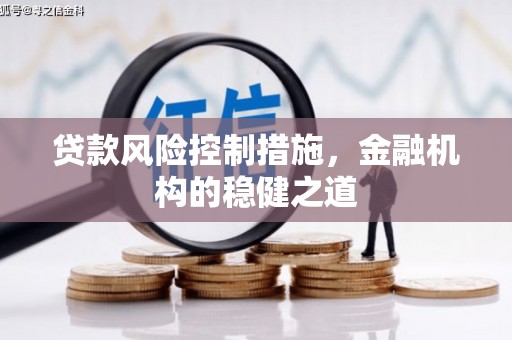 新昌贷款风险控制措施，金融机构的稳健之道