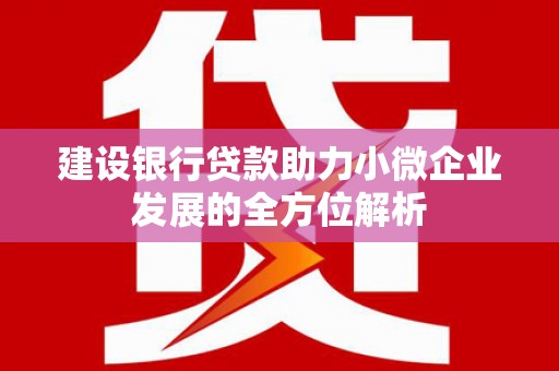 新昌建设银行贷款助力小微企业发展的全方位解析
