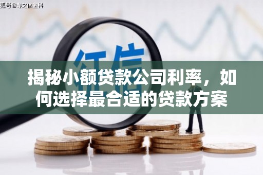 新昌揭秘小额贷款公司利率，如何选择最合适的贷款方案