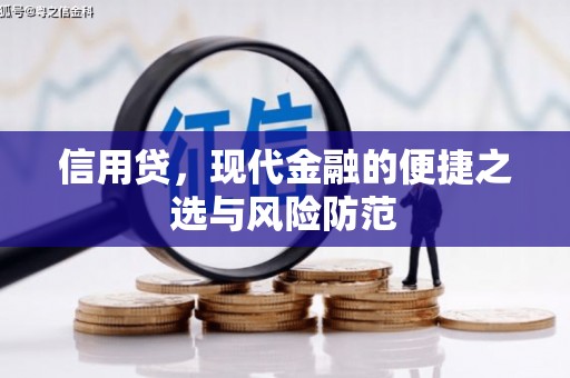 新昌信用贷，现代金融的便捷之选与风险防范