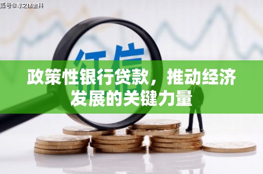 新昌政策性银行贷款，推动经济发展的关键力量