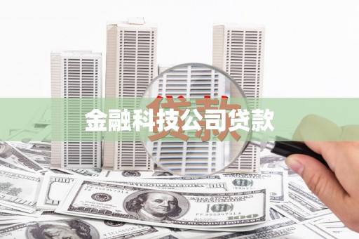 新昌金融科技公司贷款