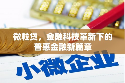 新昌微粒贷，金融科技革新下的普惠金融新篇章