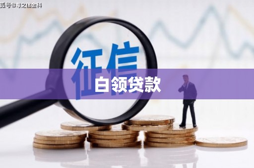 新昌白领贷款