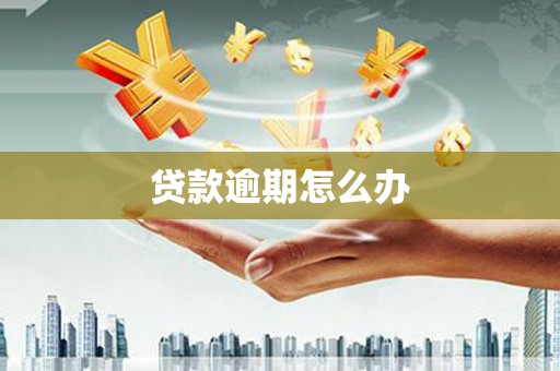 新昌贷款逾期怎么办