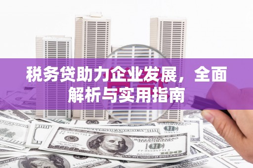 新昌税务贷助力企业发展，全面解析与实用指南
