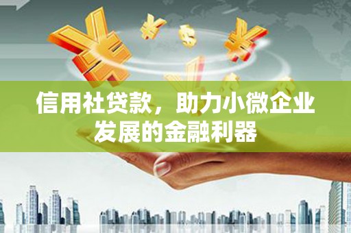 新昌信用社贷款，助力小微企业发展的金融利器