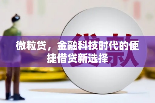 新昌微粒贷，金融科技时代的便捷借贷新选择