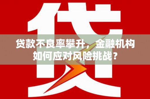 新昌贷款不良率攀升，金融机构如何应对风险挑战？
