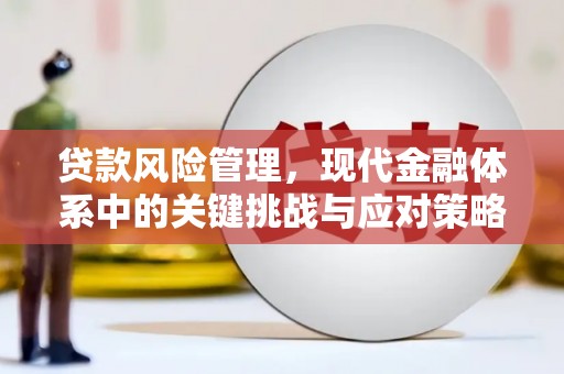 新昌贷款风险管理，现代金融体系中的关键挑战与应对策略