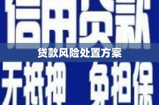新昌贷款风险处置方案