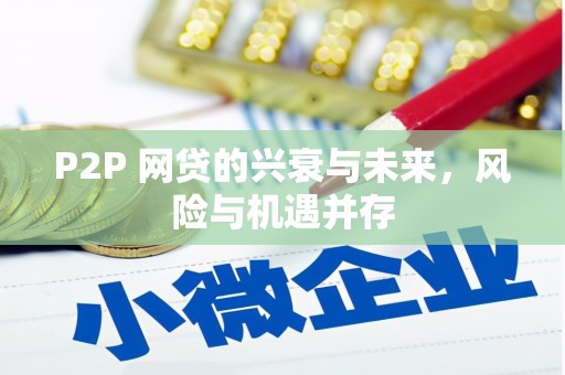 新昌P2P 网贷的兴衰与未来，风险与机遇并存