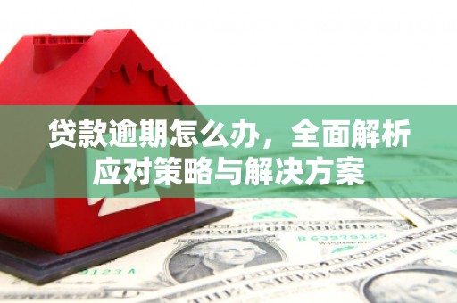 新昌贷款逾期怎么办，全面解析应对策略与解决方案