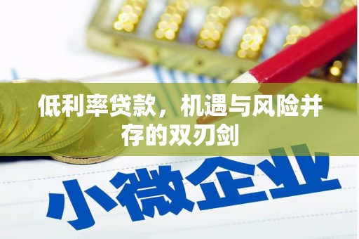 新昌低利率贷款，机遇与风险并存的双刃剑