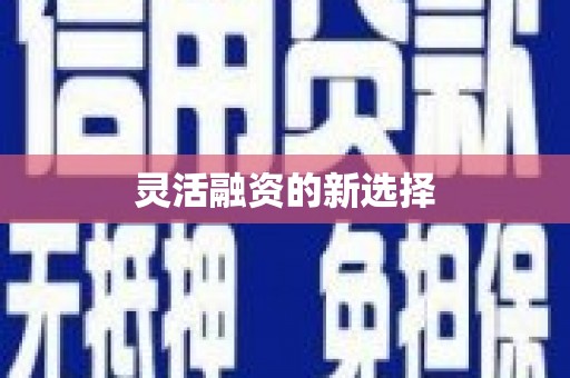 新昌灵活融资的新选择
